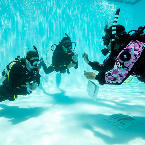 diving-experiences